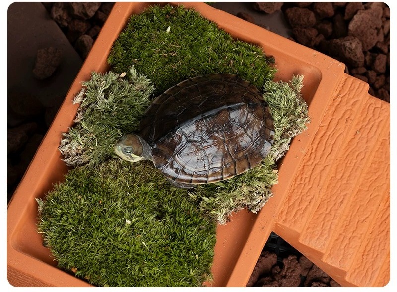 Aquarium Turtle Basking Platfo - Hide Cave Ceramic recension och pris