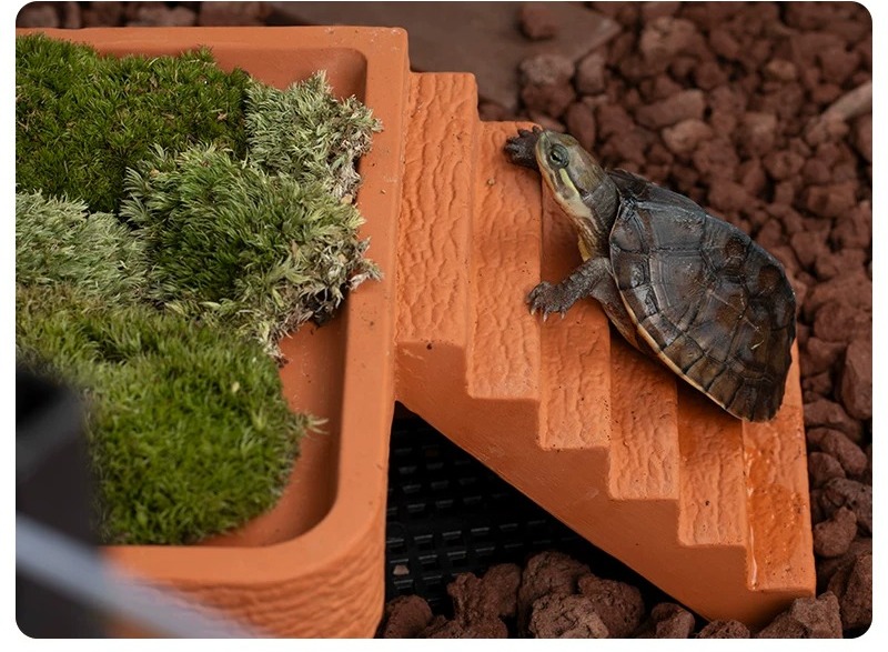 Aquarium Turtle Basking Platfo - Hide Cave Ceramic recension och pris
