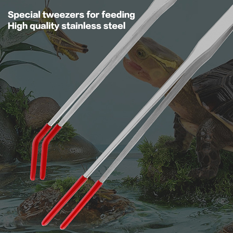 Stainless Steel Reptile Feedin - Feeding Tong Stainless recension och pris
