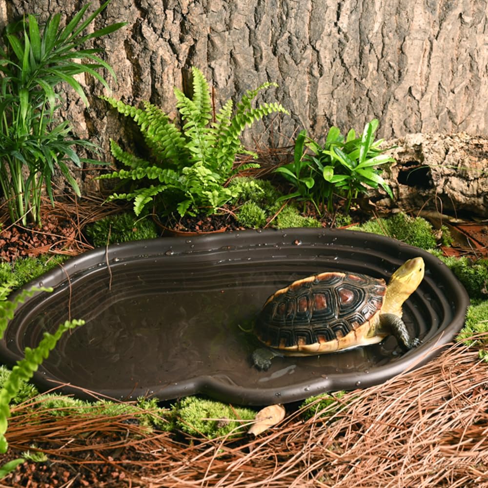 Reptile Bathing Dish Amphibian - Water Dish Reptile recension och pris
