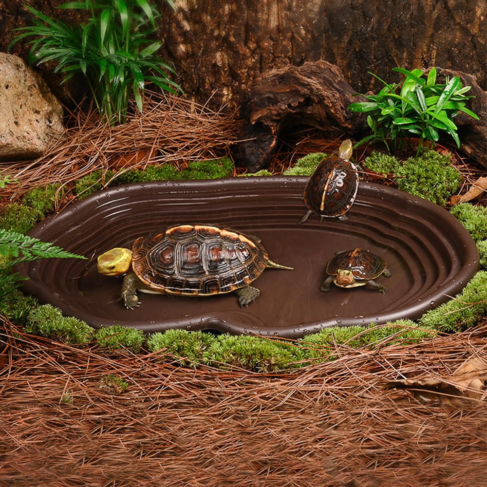 Reptile Bathing Dish Amphibian - Water Dish Reptile recension och pris